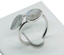 Silver Ring Leaf Rainbow