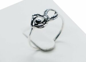 Silver Ring Spider
