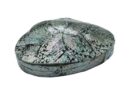 Box Avalone Shell
