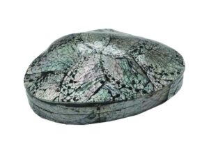 Box Avalone Shell