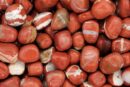 Tumblestone Red Jasper