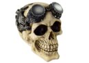 Skull Head Ivory With Goggles