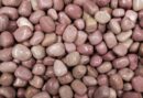 Tumblestone Thulite