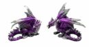 Dragon Purple Set Of 2
