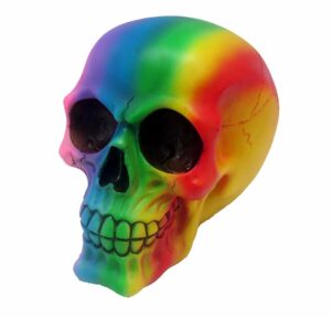 Skull Rainbow Colours