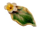 Ash Catcher Wavy Leaf
