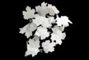 Winter Leaves 50pcs