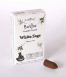 Backflow Cones Stamford White Sage (Various Quantities)