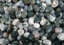 Tumblestone Moss Agate 2-3cm
