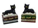 Box Cat On Book Set Of 2