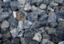 Stone Rough Sodalite 4-5cm