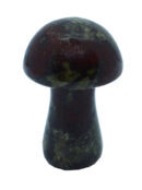 Mushroom Dragon Blood Jasper
