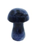 Mushroom Sodalite 25mm