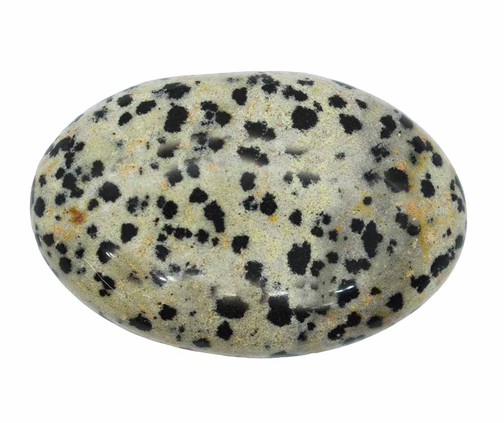 Palmstone Dalmatian Jasper