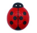Magnet Red Ladybrid