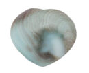 Shiva Shell Heart Shape