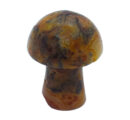 Mushroom Crazy Lace 20mm