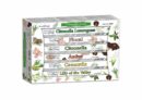 Incense Hex Citronella Co 12