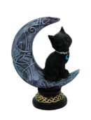 Cat Black On Moon Small
