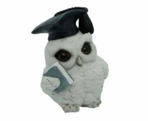 Owl White With Book 12cm