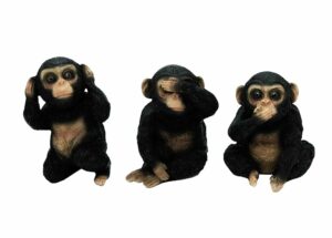 Monkeys See Hear Say No Evil