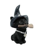 Cat Witchy With Pentagram