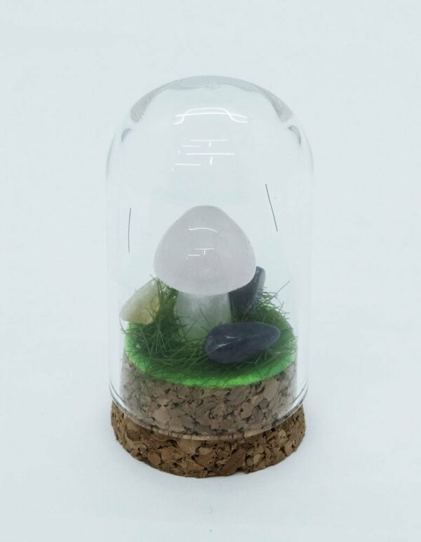 Mushroom Rose Q in Glass