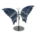 Butterfly Wings Lapis