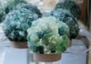 Lamp Rough Fluorite 12cm