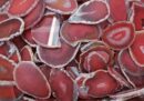 Stone Agate Slice Red 4-6cm