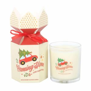 Candle Spiced Berry for Xmas