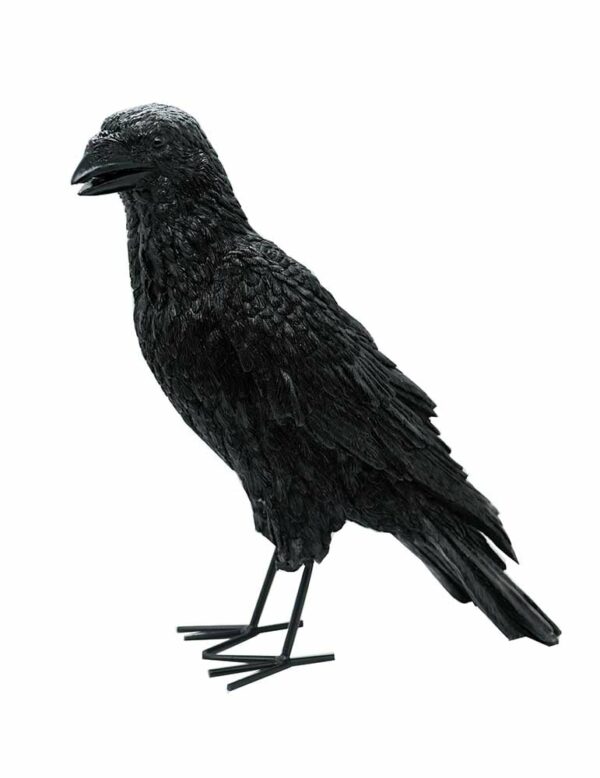 Crow Black 31x14x34cm