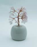 Tree Chip Rose Qz In White Pot