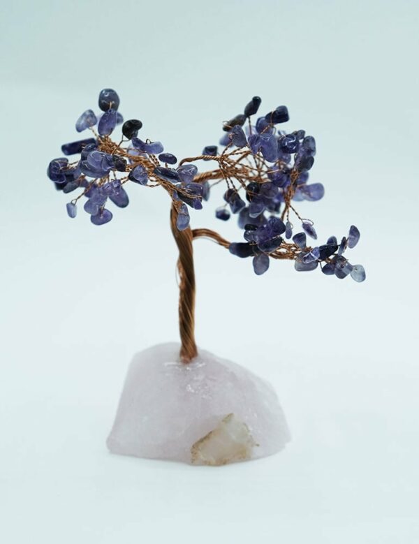 Tree Chip Amethyst On RQz Base