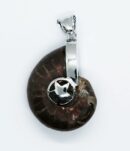 Pendant Caged Star Ammolite