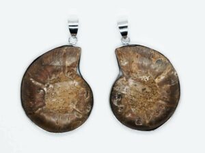 Pendant Ammolite Pair