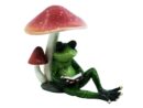 Frog Reading Under Mushroom