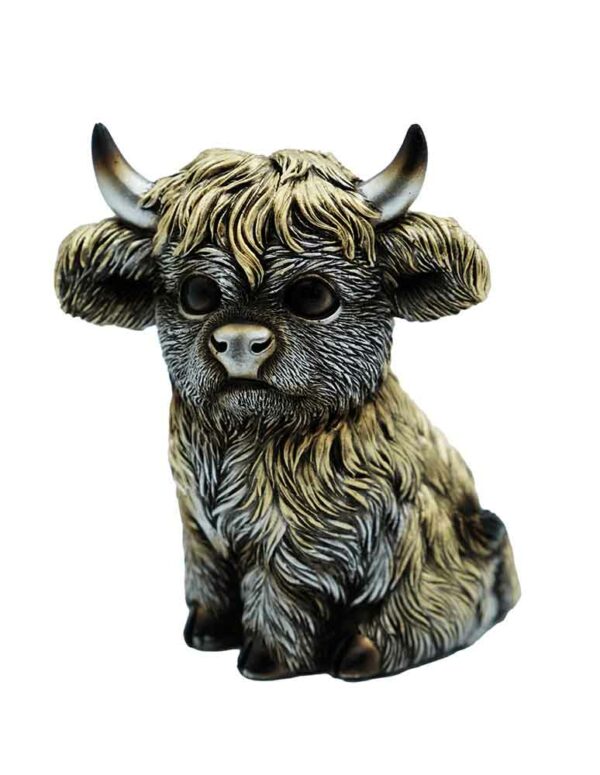 Cow Highland Sitting