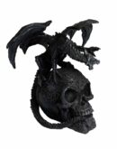 Dragon On Skull