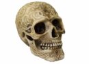 Skull 16x10.5x11.5cm