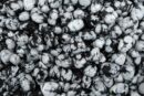 Tumblestone Snowflake Obsidian