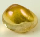 Tumble Stone Golden Aura 2pcs