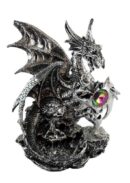 Dragon Black With Shield