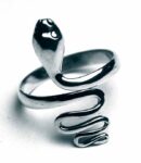 Silver Ring Snake Plain
