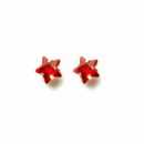 Silver Earring Star Ruby Stone