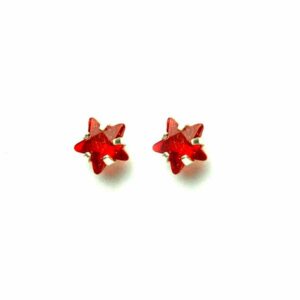 Silver Earring Star Ruby Stone
