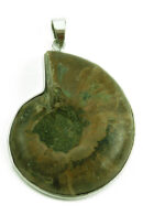 Pendant Ammonite Large
