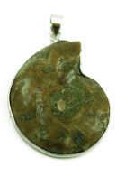 Pendant Ammonite Small