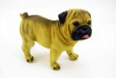 Dog Pug Standing