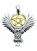Silver Pendant Owl Pentagram Lisa Parker Licensed